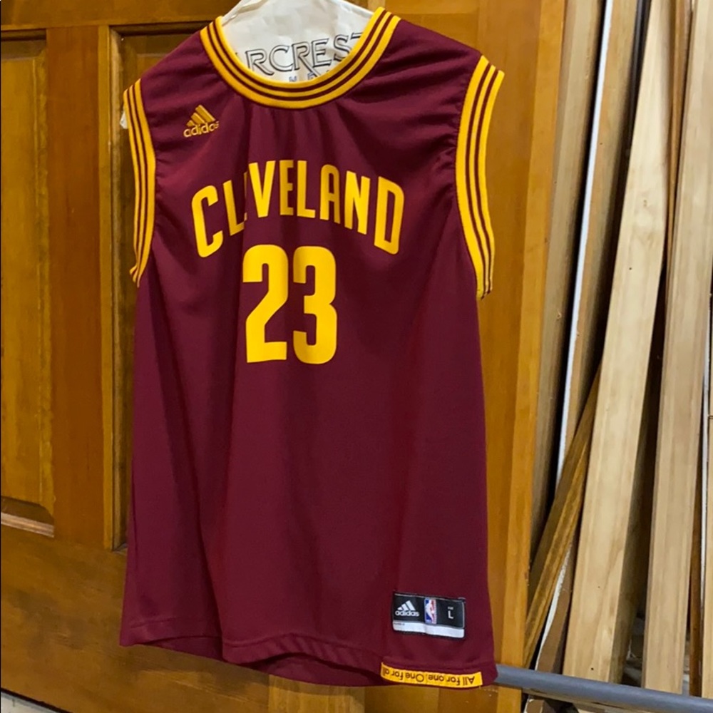 Lebron James Cleveland Cavaliers jersey